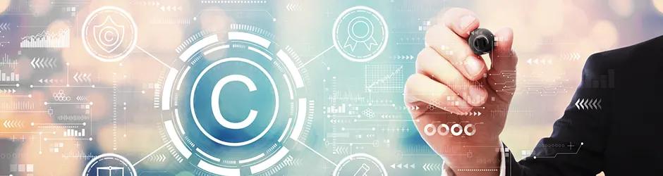 copyright and permissions webp